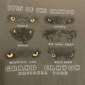 Vtg Prairie Mountain eyes of the Grand Canyon national Park T-shirt size 14 16